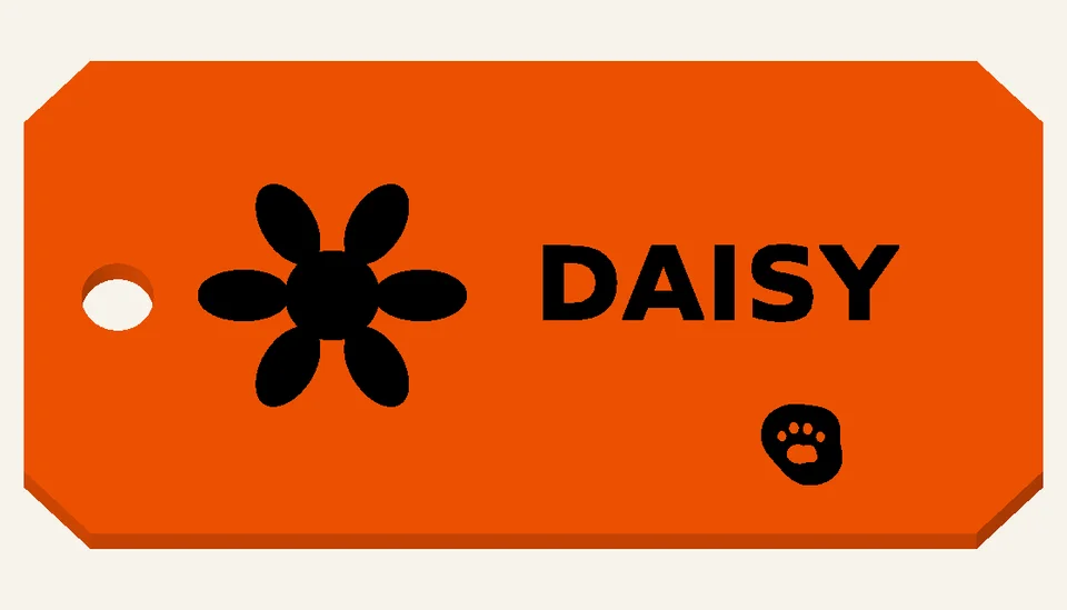 Daisy Days — Bag Tags, digital design render