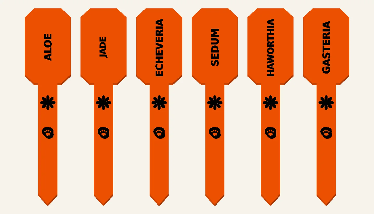 Sunny Succulents — Plant Marker Sets, digital design render